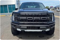 Ford Raptor F150 бензин 2024 id-1005951