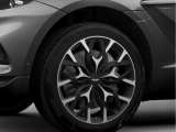 Купить Aston-Martin DBX бензин 2020 id-1004930 Киев Випкар