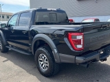Купить Ford Raptor F150 бензин 2025 id-1005951 Киев