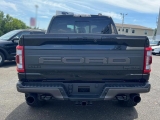 Купить новый Ford Raptor F150 бензин 2025 id-1005951 в Украине