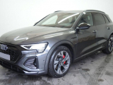 Купить Audi Q8 E-tron quattro электро 2024 id-1006191 в Киеве