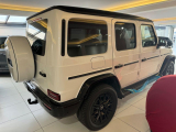 Купить Mercedes-Benz G 450d дизель 2024 id-1007032 Киев Випкар