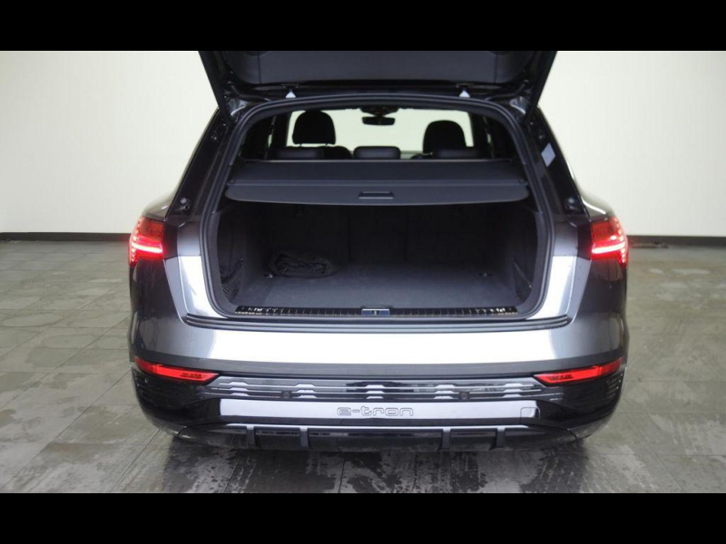 Audi Q8 E-tron quattro электро 2024 id-1006191 Купить Audi Q8 E-tron quattro электро 2024 id-1006191 в Киеве, Фото №5
