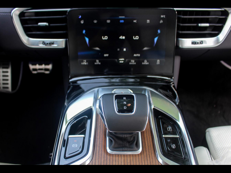 Hongqi E-HS9 электро 2023 id-1006600 Купить Hongqi E-HS9 электро 2023 id-1006600 в Киеве, Фото №5