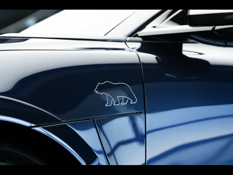 Lucid Sapphire электро 2024 id-1006805 Купить Lucid Sapphire электро 2024 id-1006805 в Киеве, Фото №10