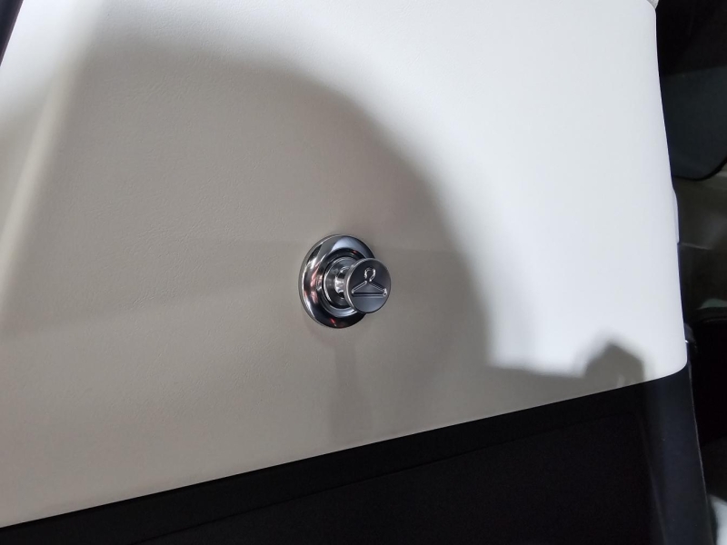 Купить Zeekr 009 Brilliance электро 2025 id-1008498 в Киеве, Фото №31